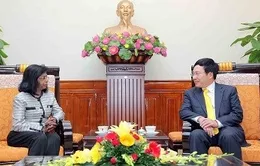 Việt Nam tham gia gìn giữ hòa bình của LHQ từ tháng 6